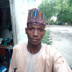 ameer ameer