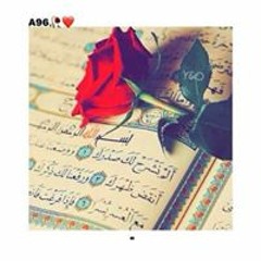 عامر