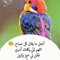 عباد الرحمن