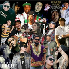 POMONA FUTURE LEGENDS BLACK&BROWN