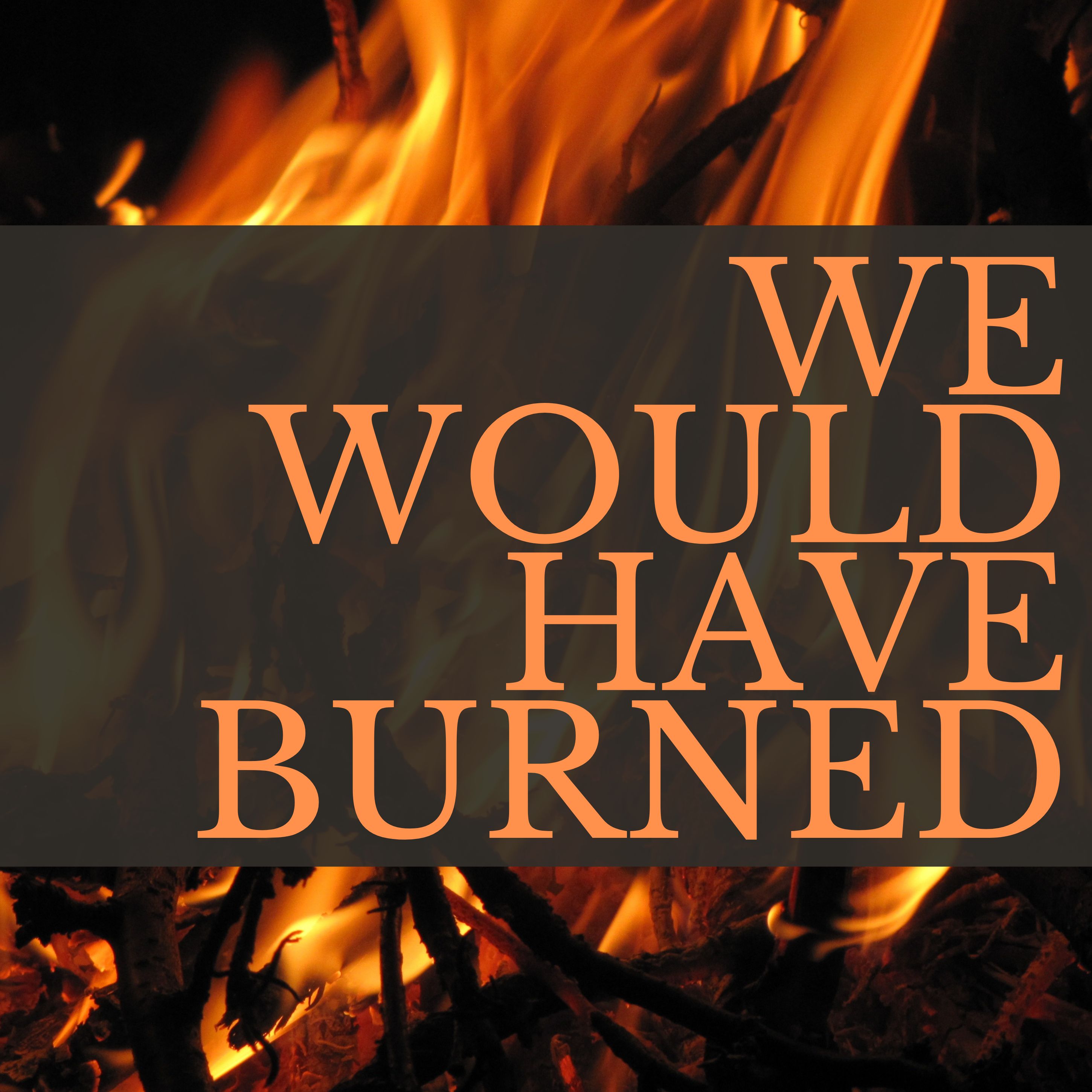 We Would Have Burned