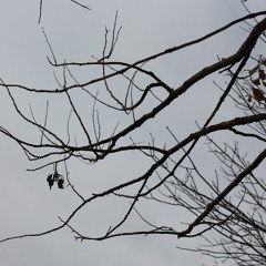 Student Cameron Cooper