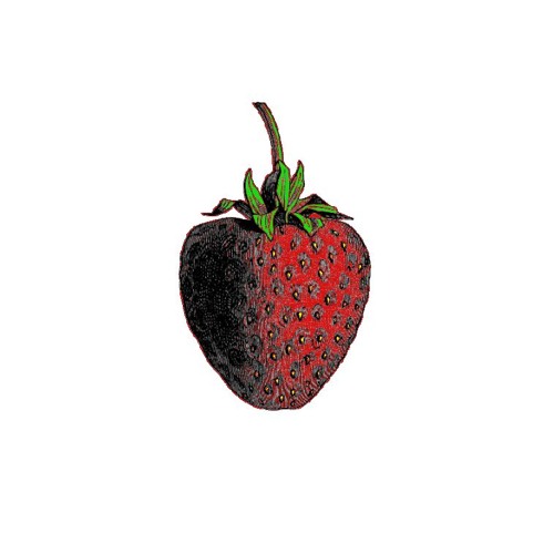 The Strawberry Thief’s avatar