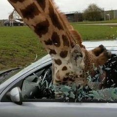 ⠀⠀⠀⠀⠀⠀⠀⠀