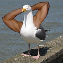 goosey.