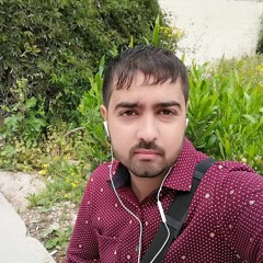 محمد الأيهم بني هاني