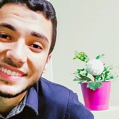 ahmed salah