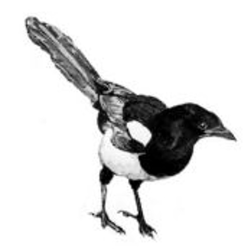 Stream Grumpy Magpie music | Listen to songs, albums, playlists for ...