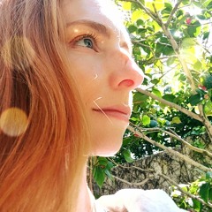 Ginger Susanne Reinelt