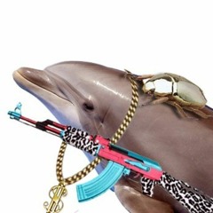 dolphin_bitch❤