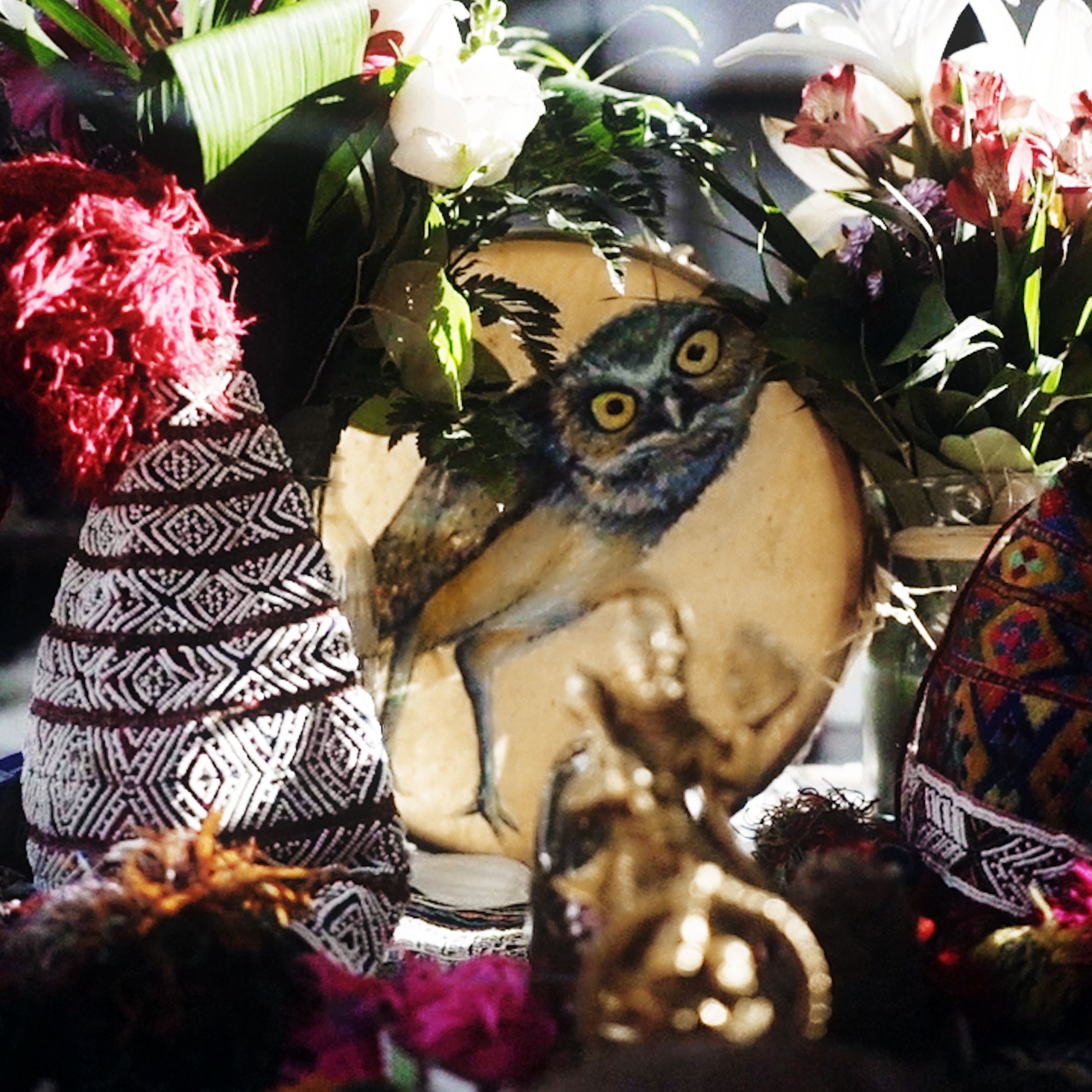 Ayahuasca Journeying and Shamanism