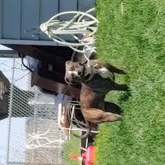 andersobmadison@mcusd1.net