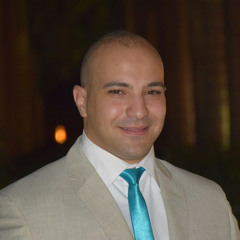 Mohamed Amer