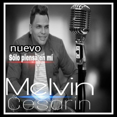 Melvin cesarin pimentel