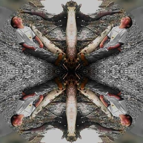 SoundCloud profile picture for @hemorrhoids