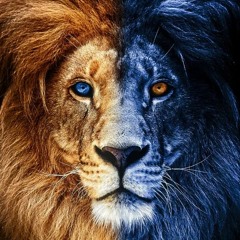 Ÿãéêñ  W  Ãbø Ràwá$h