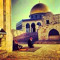 amer Ali