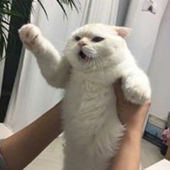 zxcvbnm