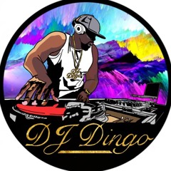 DJ Dingo UK