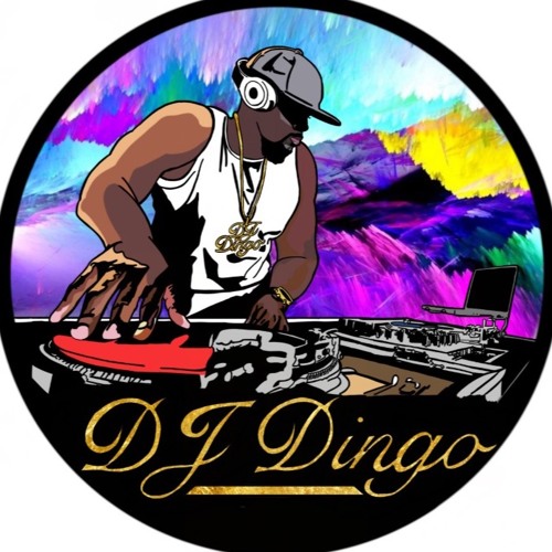 DJ Dingo UK (3G Sound) — artist photo