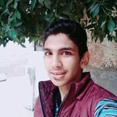 Mohamed T Tarek