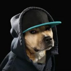 Dogman Rukus Bring Hip Hop Back
