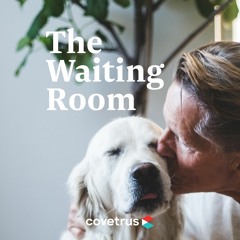 The Waiting Room
