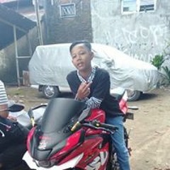 Pencinta Dolar