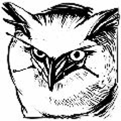 Snow Owl