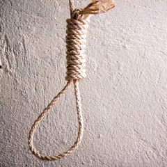 User 309104566
