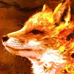 FireFox6969