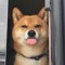 licki