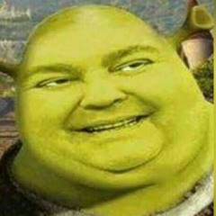 CoDKu 333