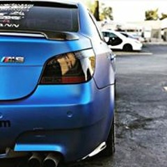 loyal_stiff