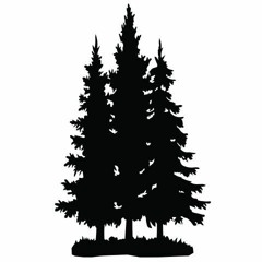 In The Pines