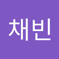 홍채빈