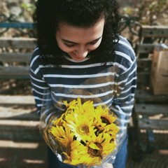 Dariin Samer