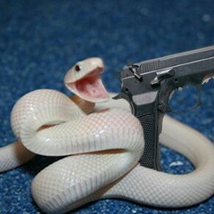 Mr. Juan the snake