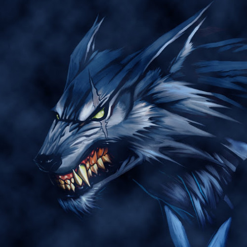 wolf 330’s avatar