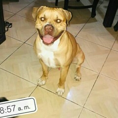 Duncan¥