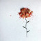 User 179071025