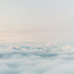 Ика Рекода-Вайтлайт