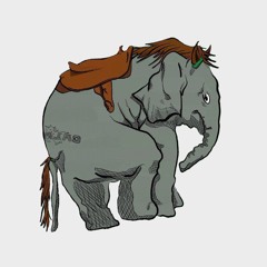 The Mustang in the Room