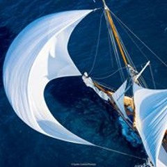 Francisco Garrido Paulo