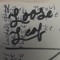 Mr.LooseLeaf