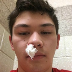 On Brave Mountains We Conquer (Silverstein Guitar And Bass Cover)