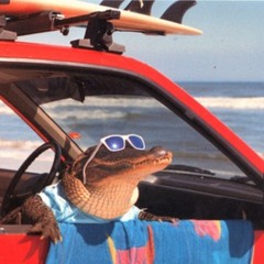 Friendly Neighbourhood Alligator