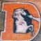 Von Miller
