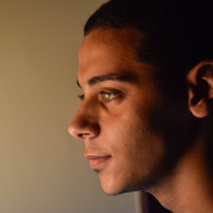 Abdelrahman M. Badry