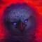 Gryphon Wanderer